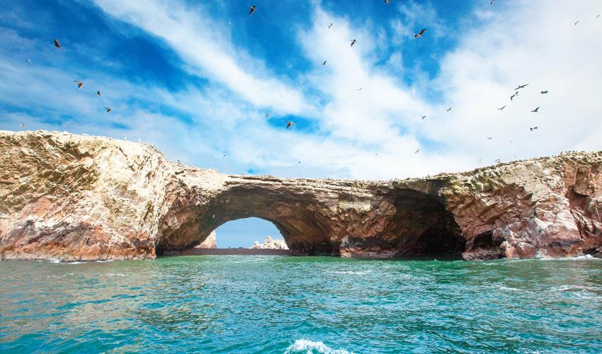 Ballestas Islands Sightseeing Boat Ride (from Paracas) - 6