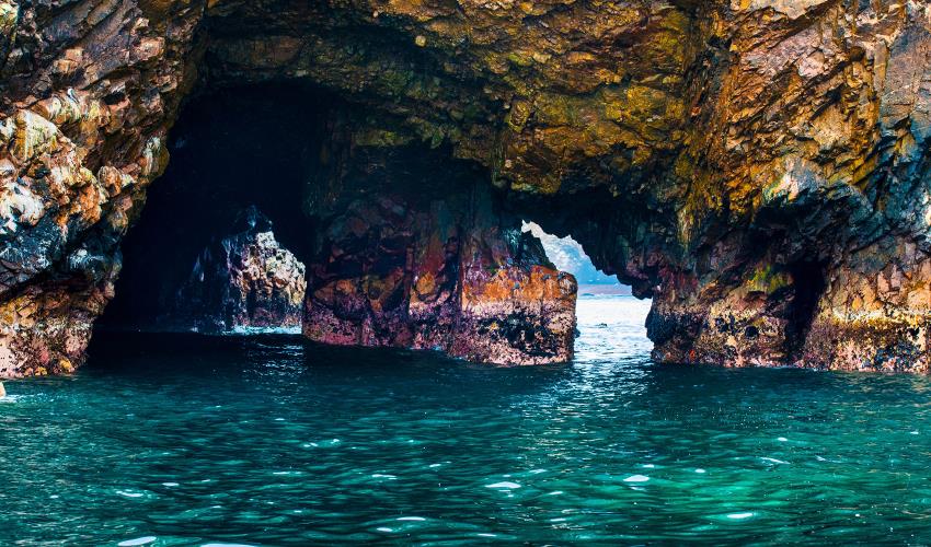 Ballestas Islands Sightseeing Boat Ride (from Paracas) - 11