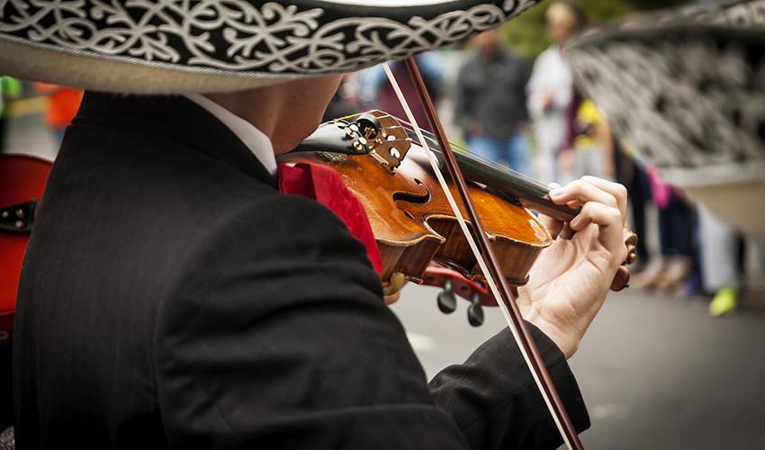 Nightlife Mexican Tour: Cantinas Mariachi and Lucha Libre - 5