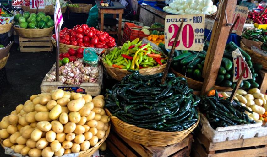 Mexico City Markets & Food Experience - 4