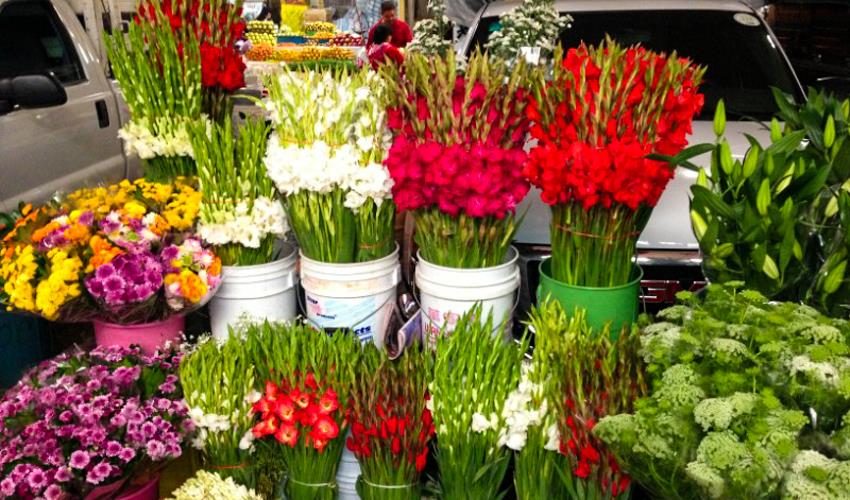 Mexico City Markets & Food Experience - 6