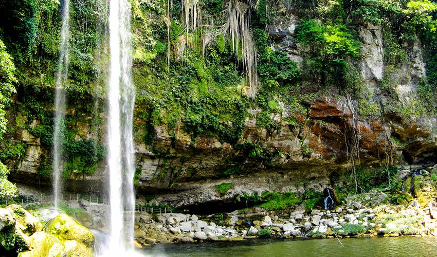 Palenque Ruins, Agua Azul & Misol-Ha Waterfalls (San Cristobal to Palenque) - 10