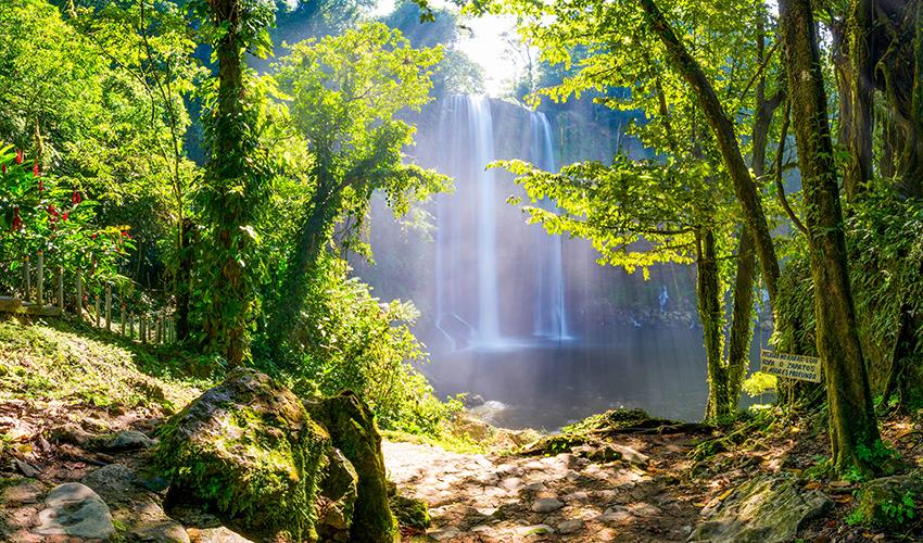 Palenque Ruins, Agua Azul & Misol-Ha Waterfalls (San Cristobal to Palenque) - 12