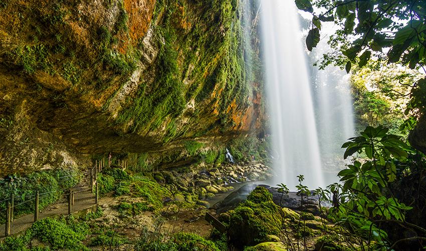 Palenque Ruins, Agua Azul & Misol-Ha Waterfalls (San Cristobal to Palenque) - 13