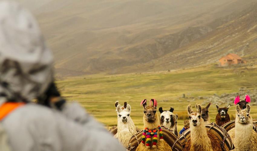 Rainbow Mountain Trek - 6