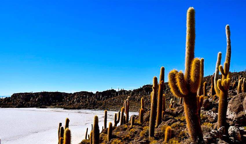 Uyuni Salt Flats Full Day Tour - 10