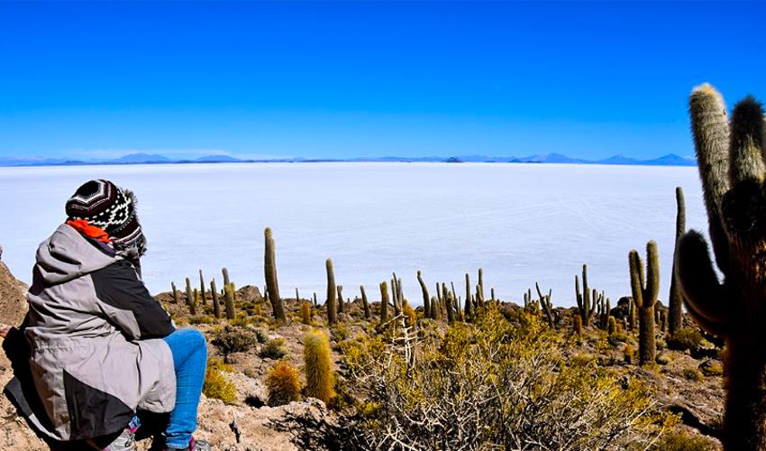 Uyuni Salt Flats Full Day Tour - 11