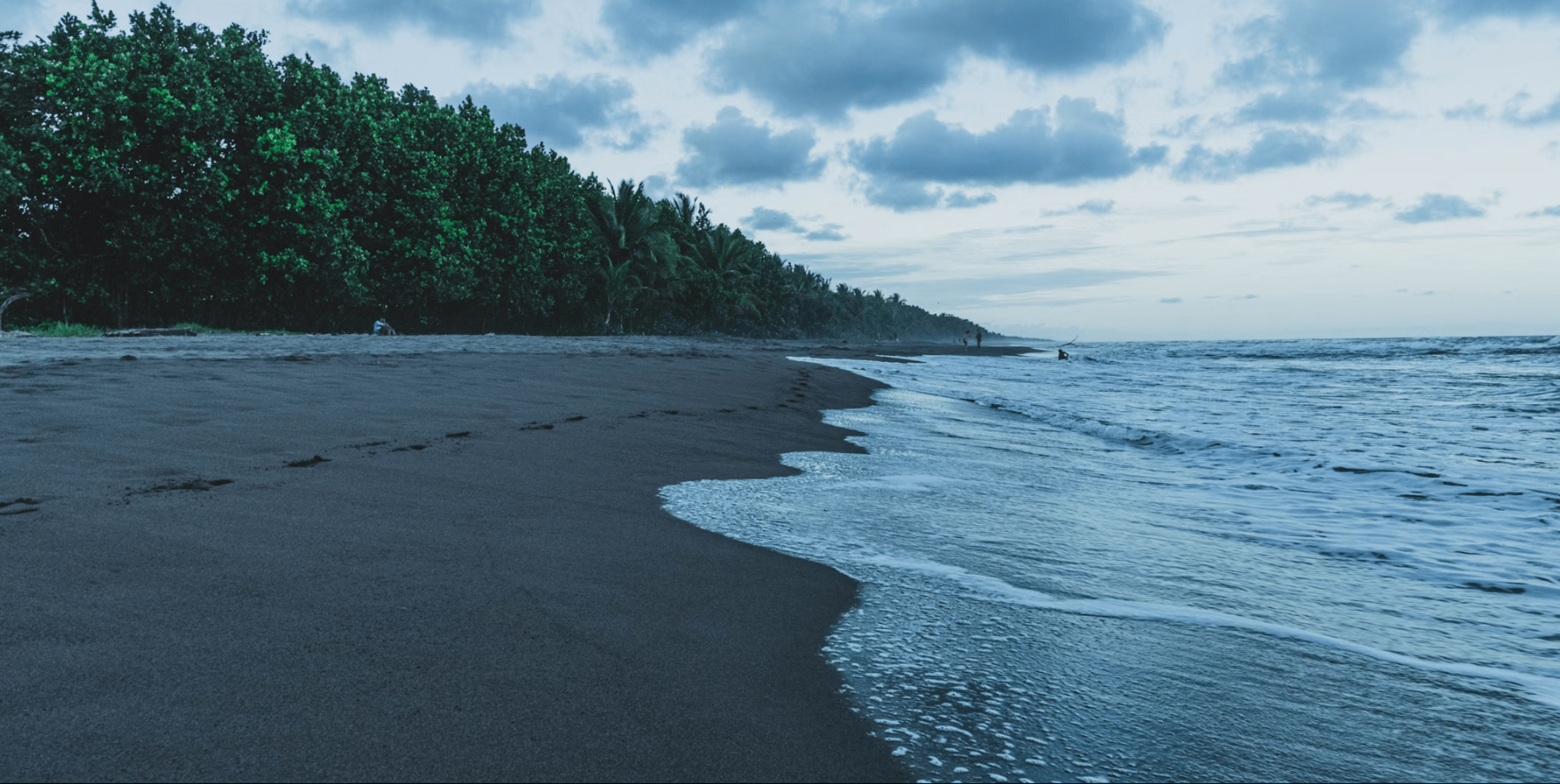 Tortuguero National Park Adventure 3D/2N - 2