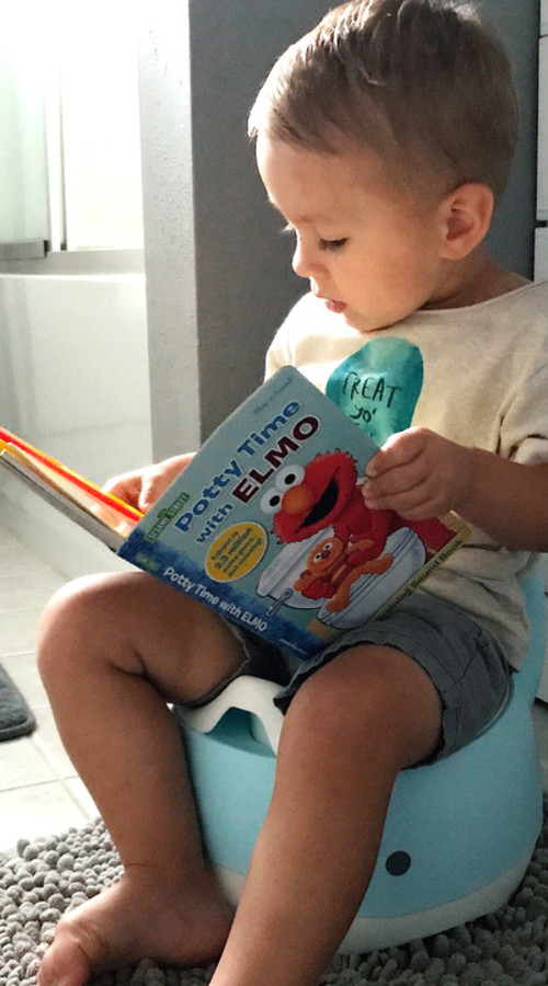 Potty Training Babylist Shop