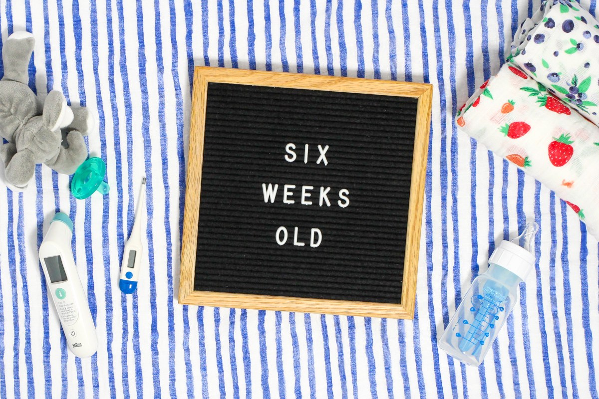 6 week infant development