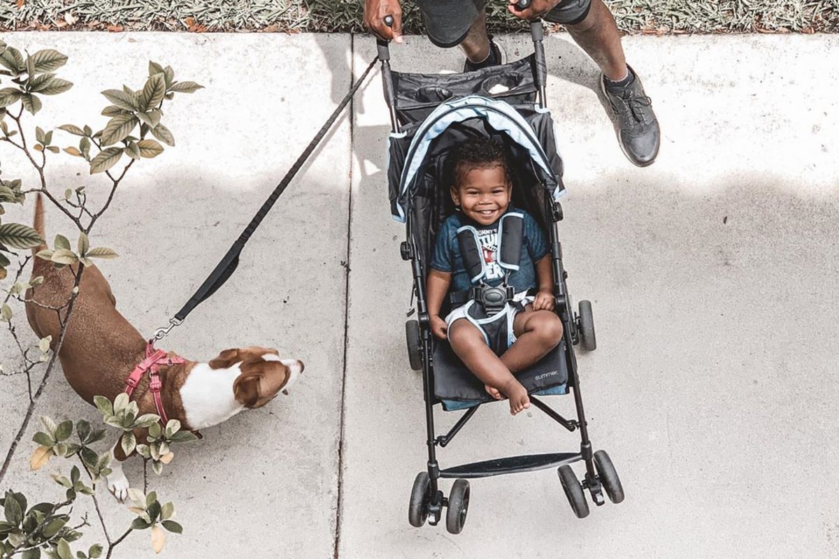 umbrella stroller with harness