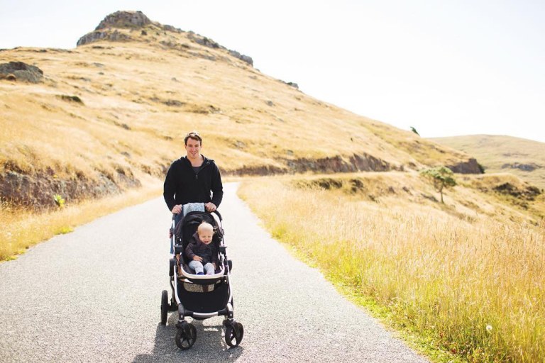 Best Strollers of 2019