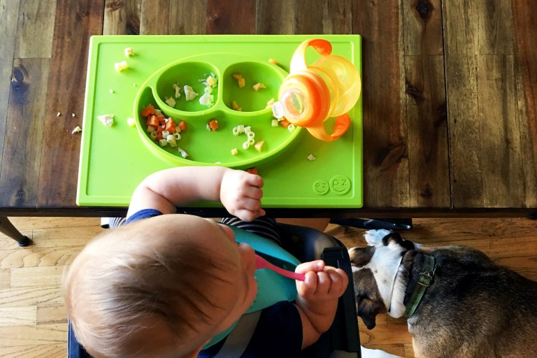 Editors' Picks: It's Feeding Time!