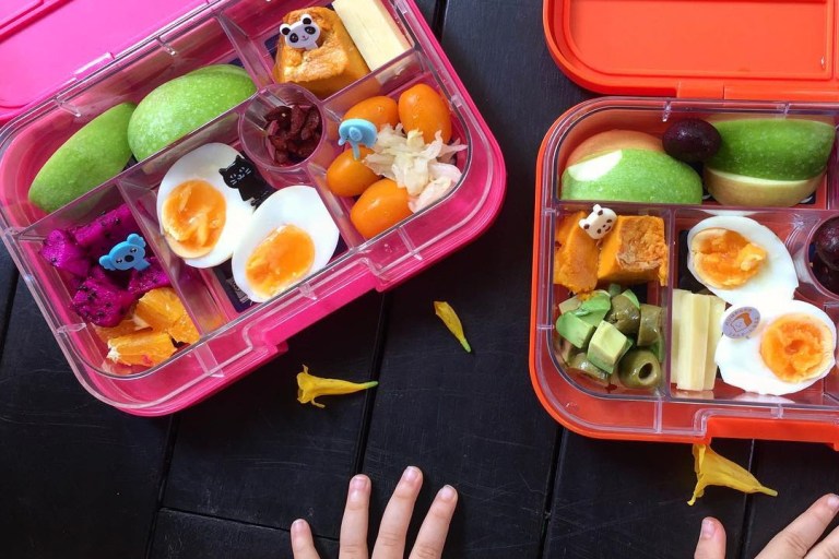 7 Best Lunch Boxes For Toddlers And Kids Of 2020