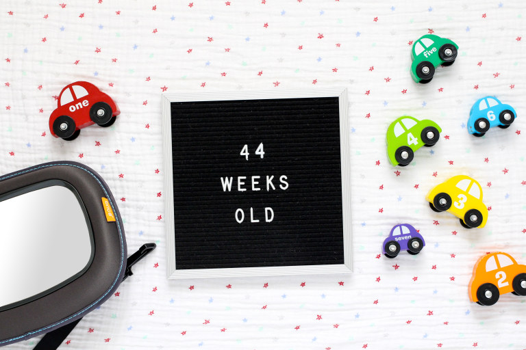 Your 44-Week-Old Baby
