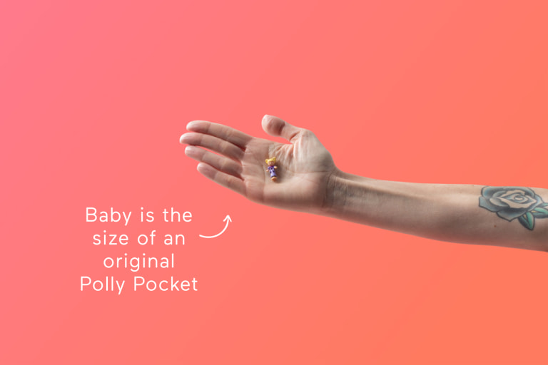 10-weeks-pregnant-babysize-polly-pocket-header.jpg