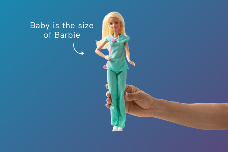 baby in tummy barbie