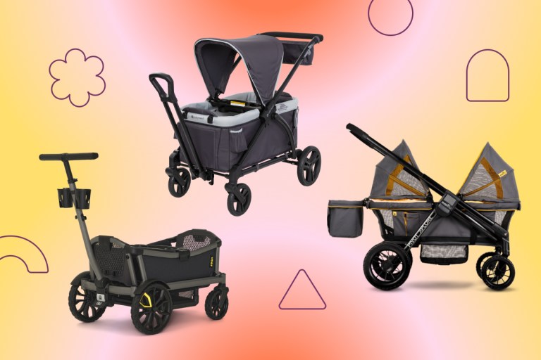 https://res.cloudinary.com/babylist/image/upload/f_auto,q_auto:best,c_scale,w_768/v1648590088/hello-baby/best-stroller-wagons-header.jpg