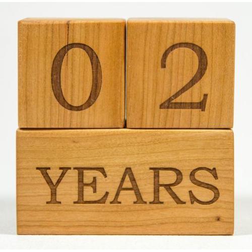 baby age blocks pottery barn