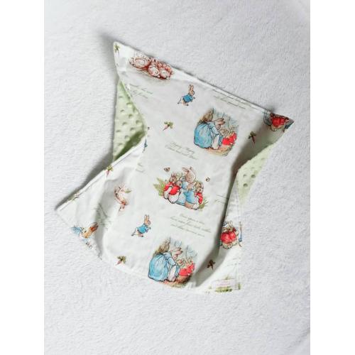 peter rabbit play gym