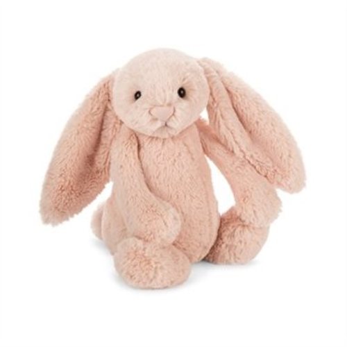 chapters jellycat