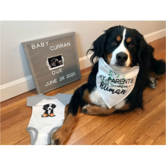 Babylist Registry Photo.