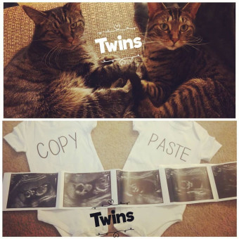 Babylist Registry Photo.