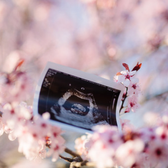 Babylist Registry Photo.