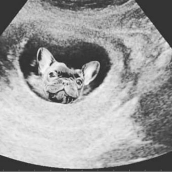 Babylist Registry Photo.