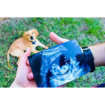 Babylist Registry Photo.
