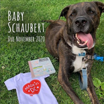 Babylist Registry Photo.