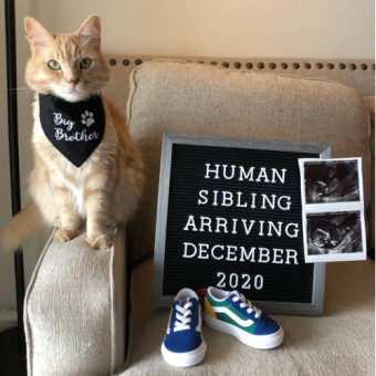 Babylist Registry Photo.