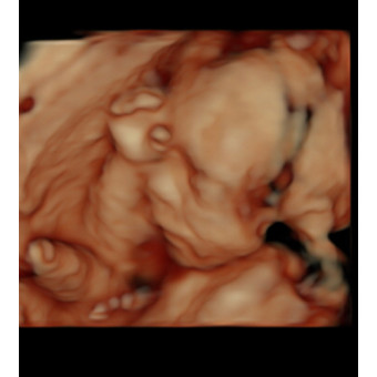 Babylist Registry Photo.