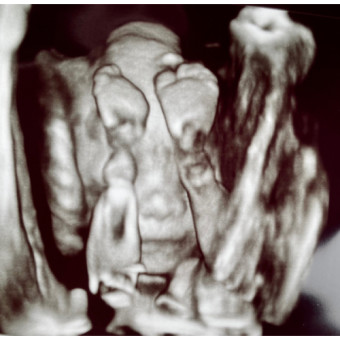Babylist Registry Photo.