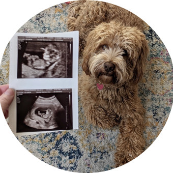 Babylist Registry Photo.