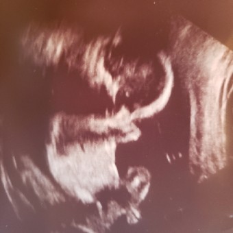 Babylist Registry Photo.