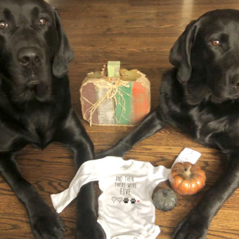 Babylist Registry Photo.