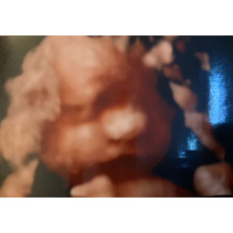 Babylist Registry Photo.