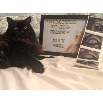 Babylist Registry Photo.