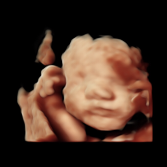 Babylist Registry Photo.