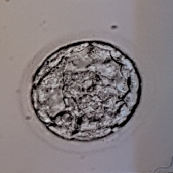 Babylist Registry Photo.
