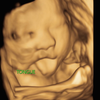 Babylist Registry Photo.