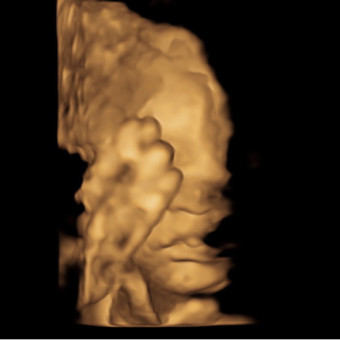 Babylist Registry Photo.
