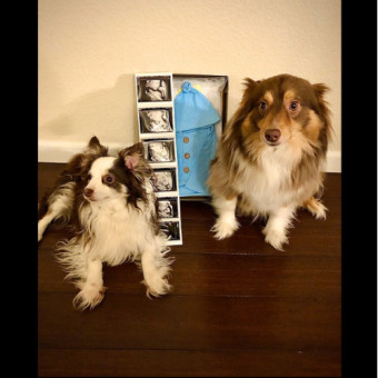 Babylist Registry Photo.