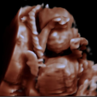 Babylist Registry Photo.