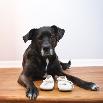 Babylist Registry Photo.