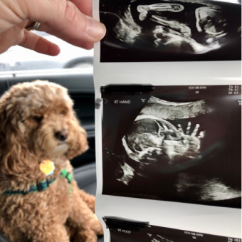 Babylist Registry Photo.