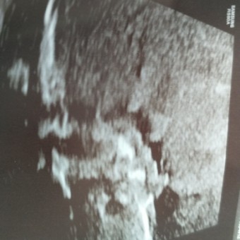 Babylist Registry Photo.