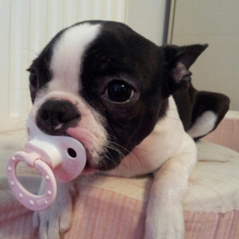 Babylist Registry Photo.