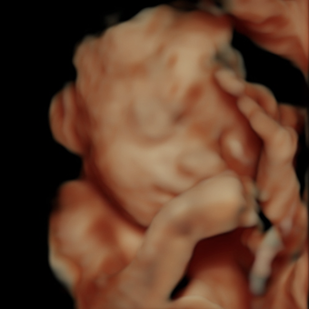 Babylist Registry Photo.
